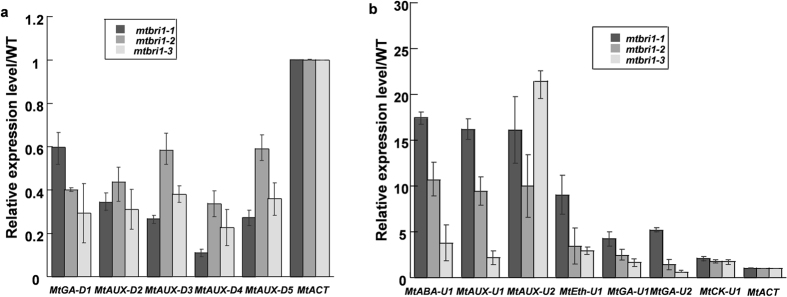 Figure 6