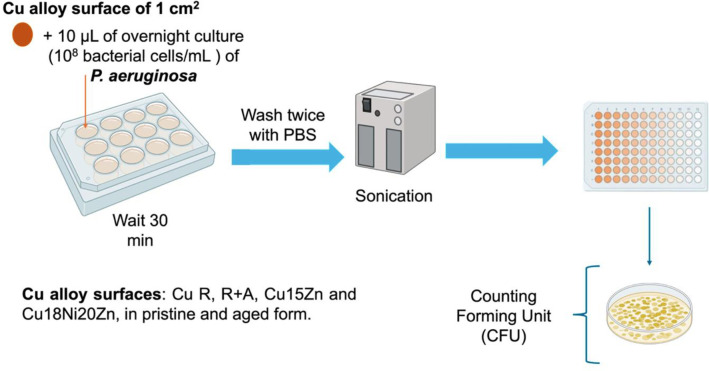 Fig 3