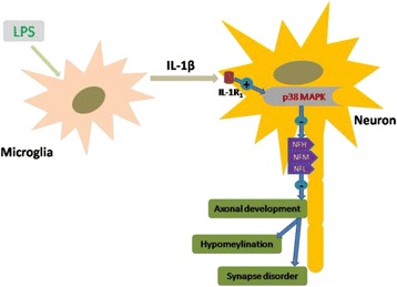 Fig. 11