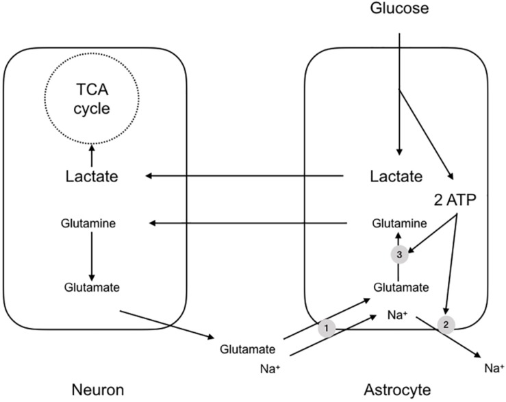 FIGURE 2