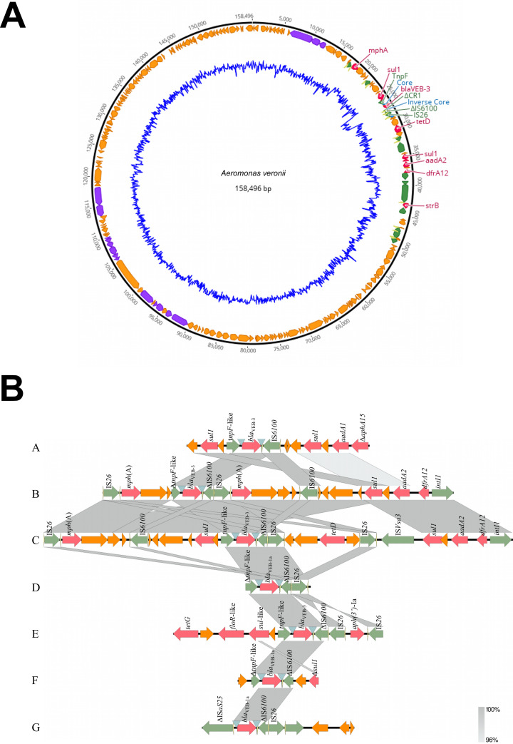 FIG 1