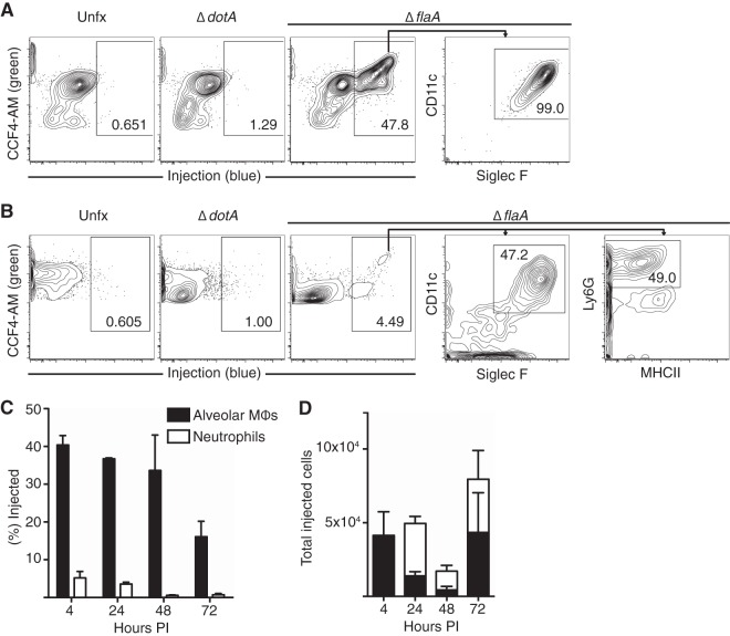 FIG 3