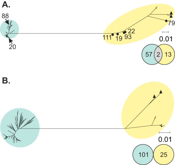 FIG 3