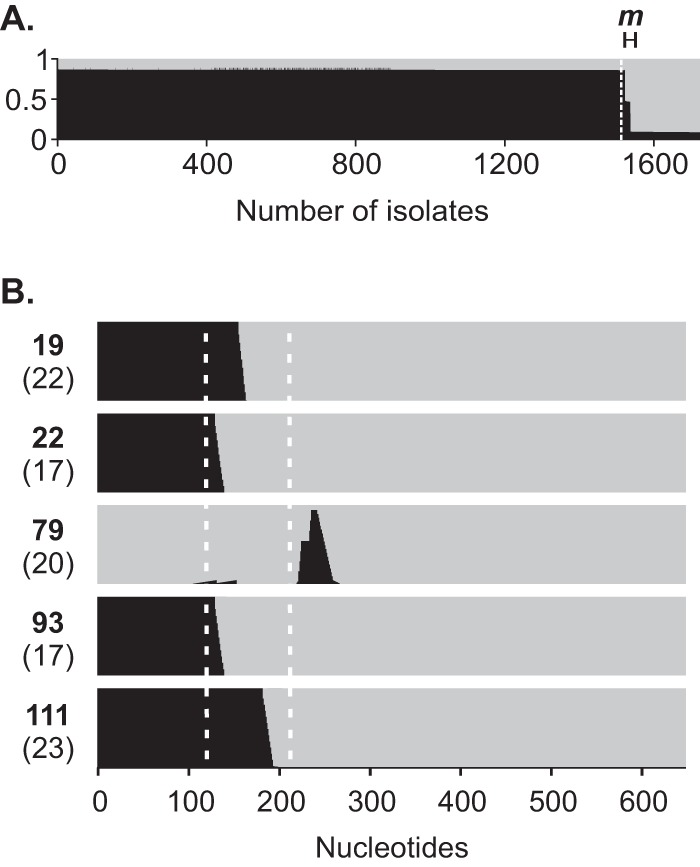 FIG 4