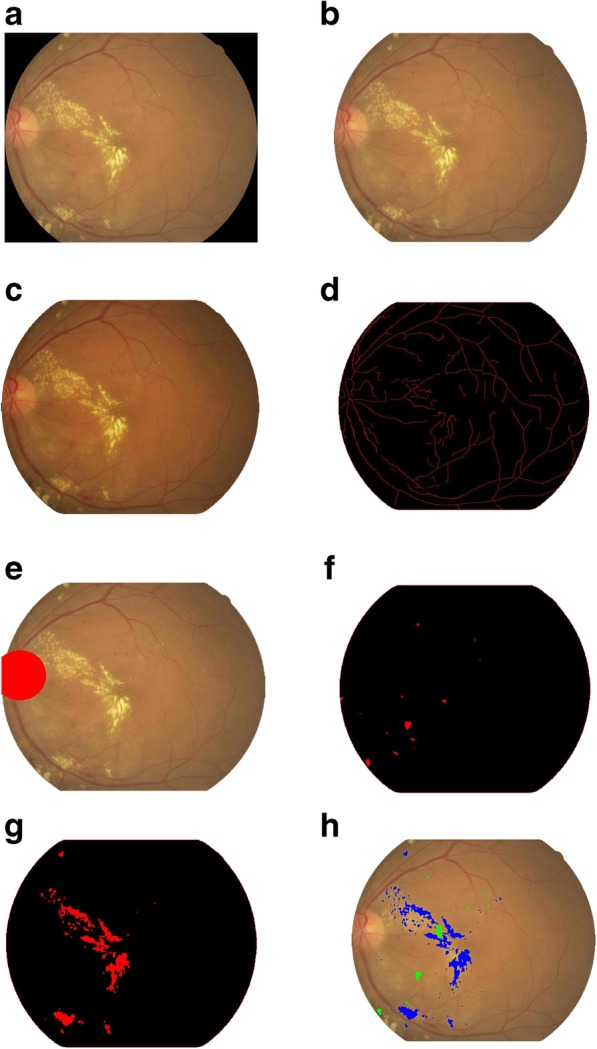 Fig. 2