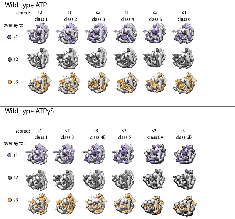 Figure 2—figure supplement 3.