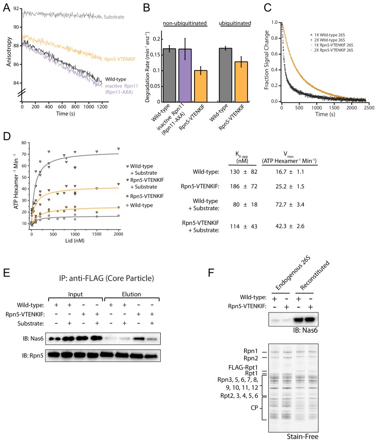 Figure 1—figure supplement 1.