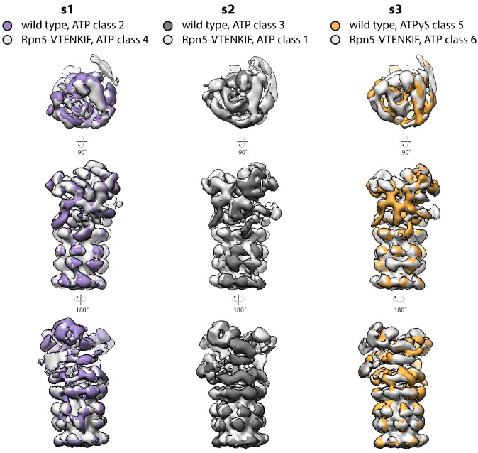 Figure 2—figure supplement 6.