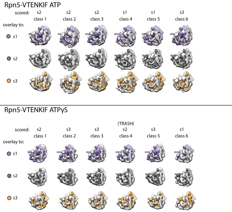 Figure 2—figure supplement 5.