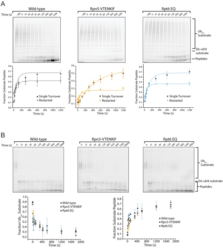 Figure 5—figure supplement 2.