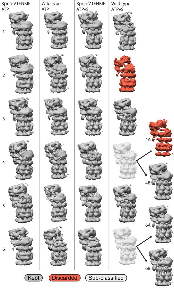 Figure 2—figure supplement 2.