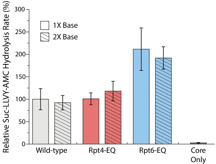 Figure 3—figure supplement 2.