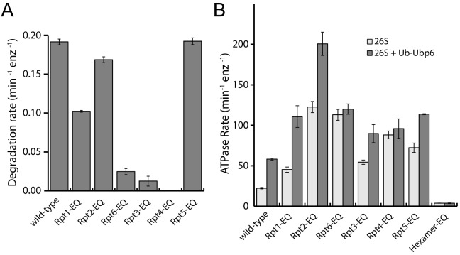 Figure 3—figure supplement 1.