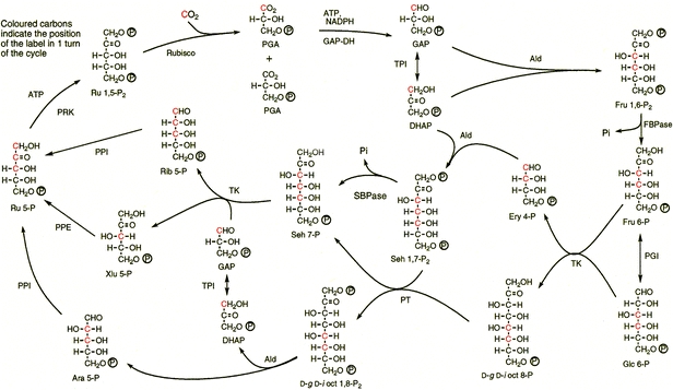 Fig. 2