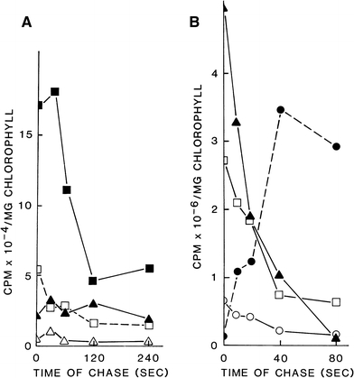 Fig. 6