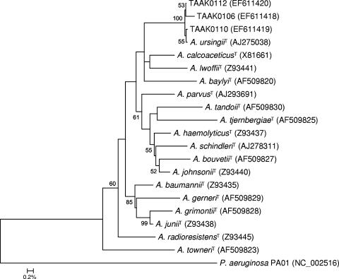 FIG. 2.