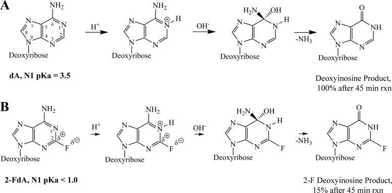 Fig 5