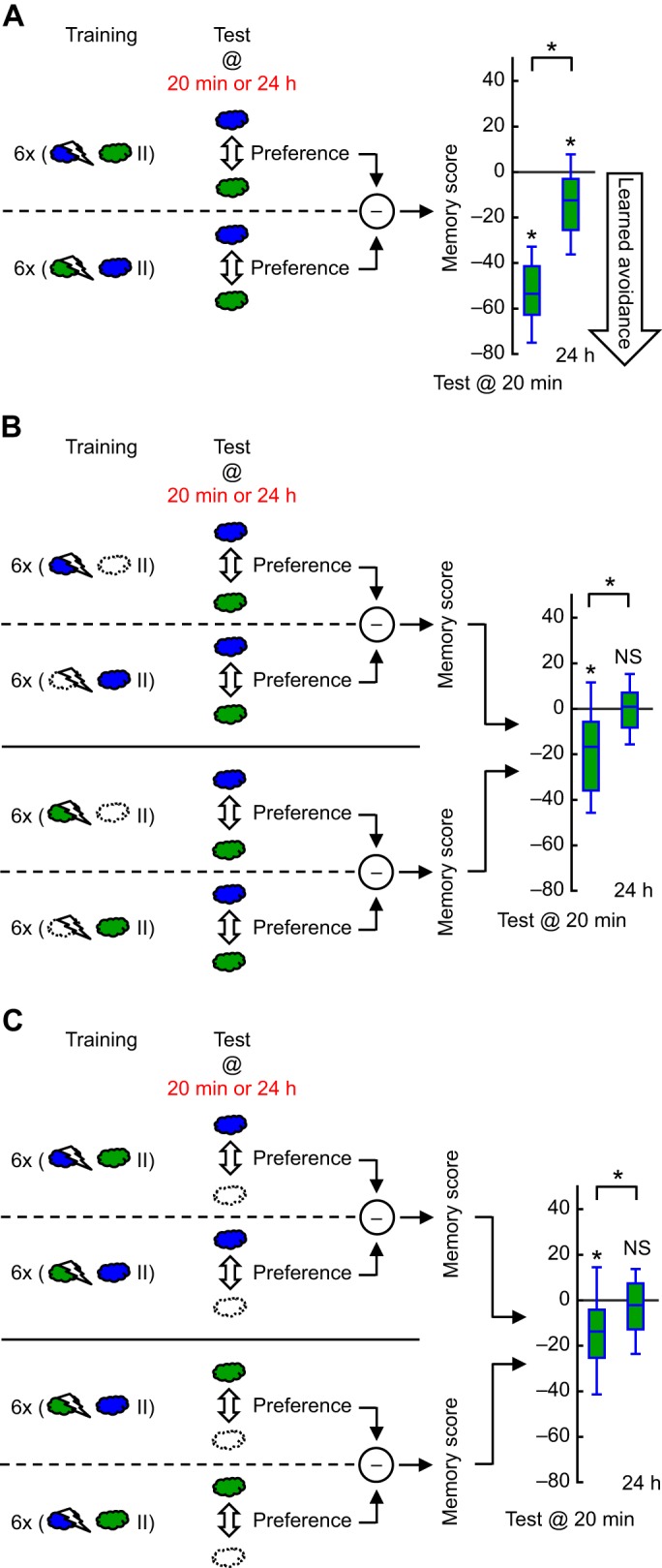 Fig. 2.