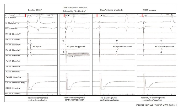 Figure 6: