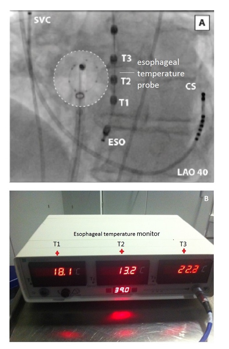 Figure 7: