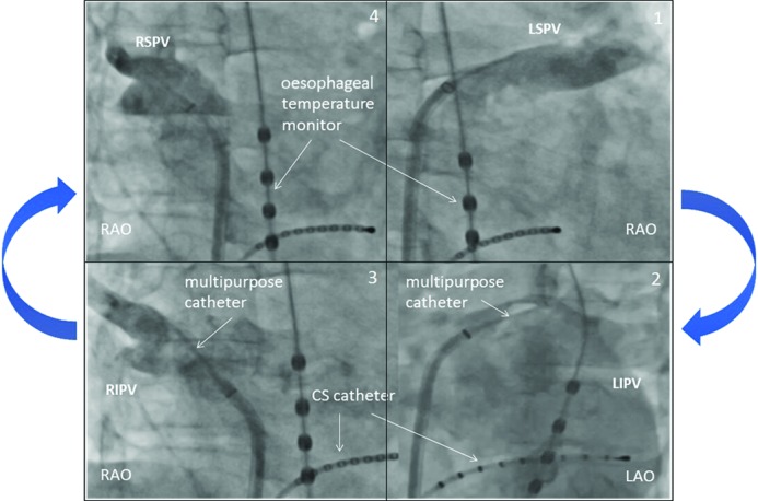 Figure 1: