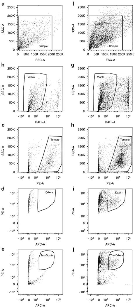 Fig. 5