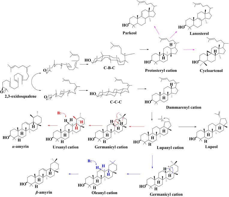 Fig. 3