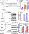 FIGURE 5: