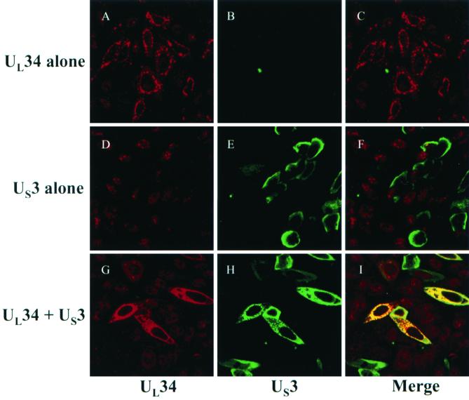 FIG. 8