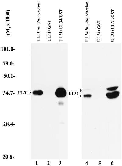 FIG. 6