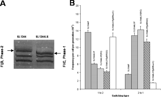 FIG. 1.