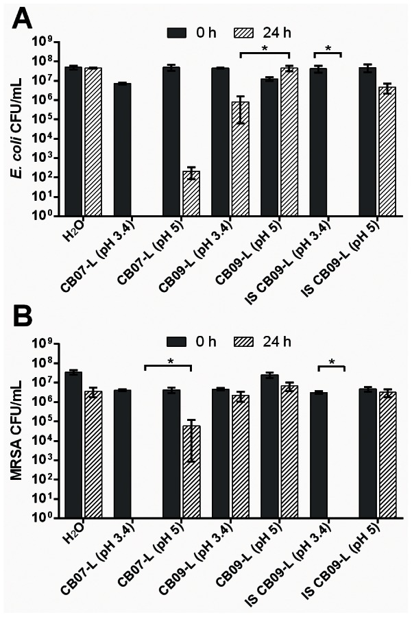 Figure 5