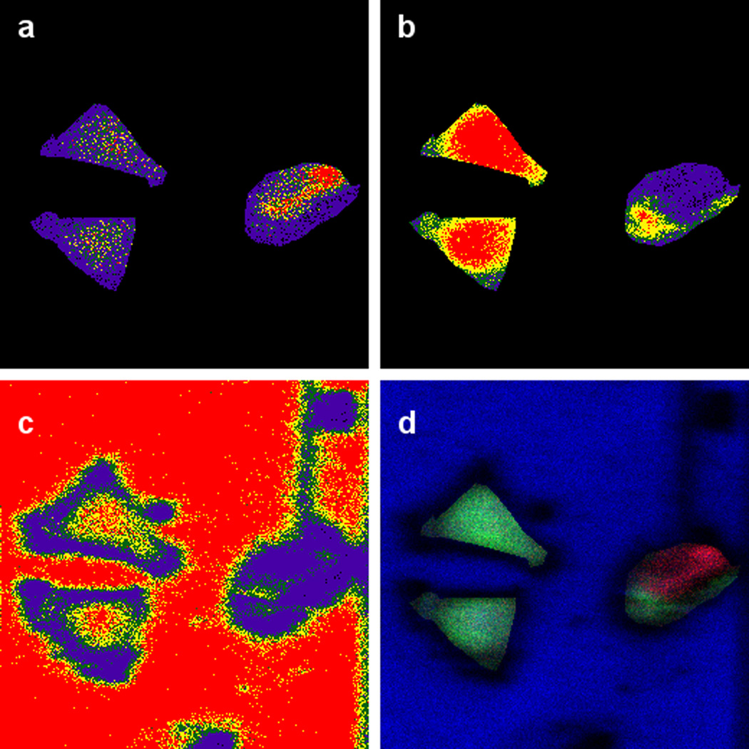 Figure 4