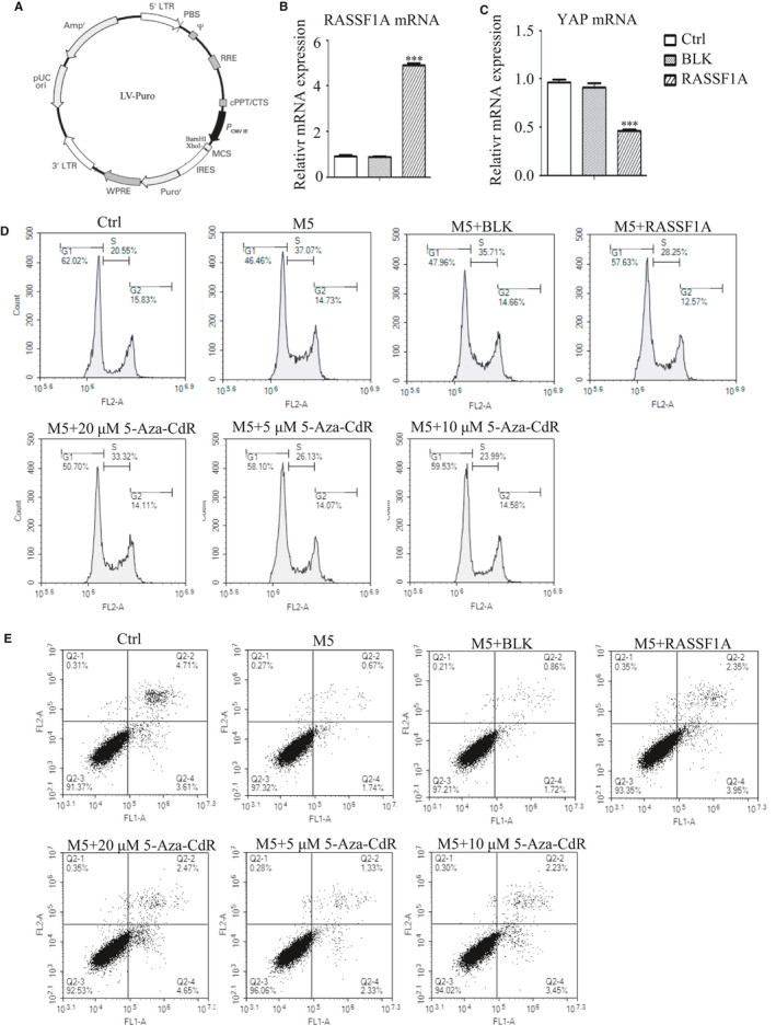 FIGURE 5