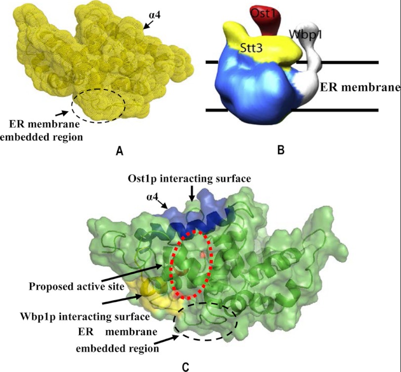 FIGURE 6.