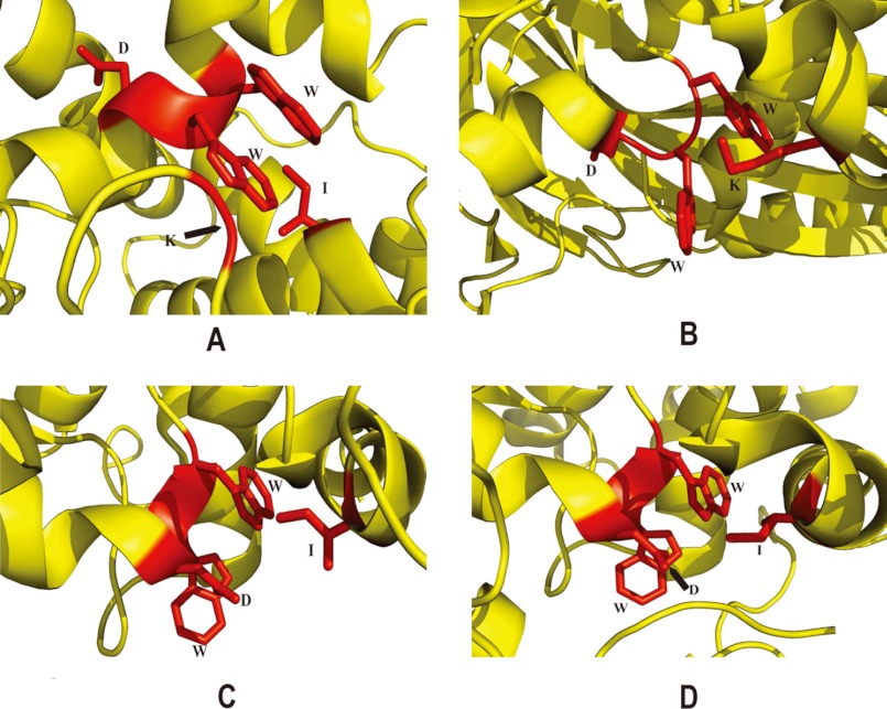 FIGURE 5.