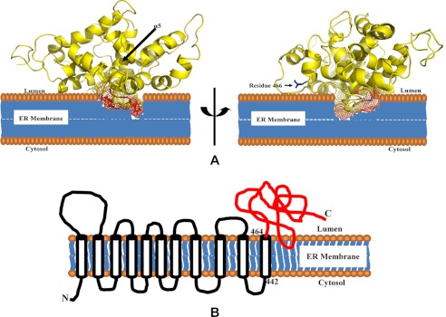 FIGURE 3.