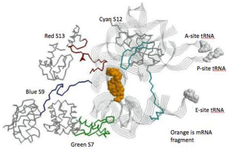 Figure 5