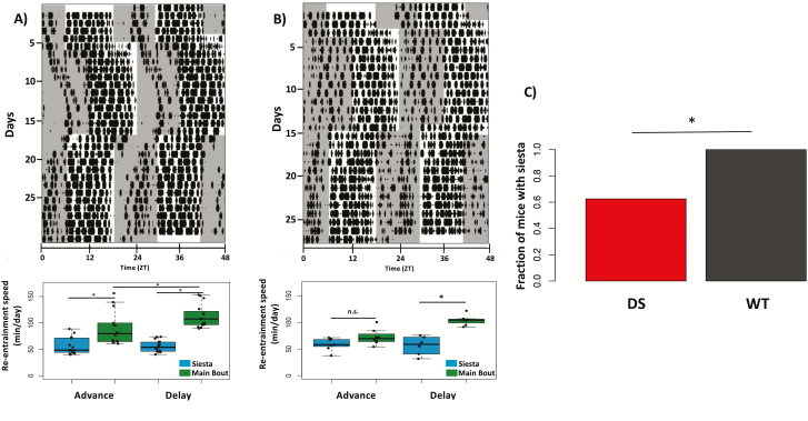 Figure 6.