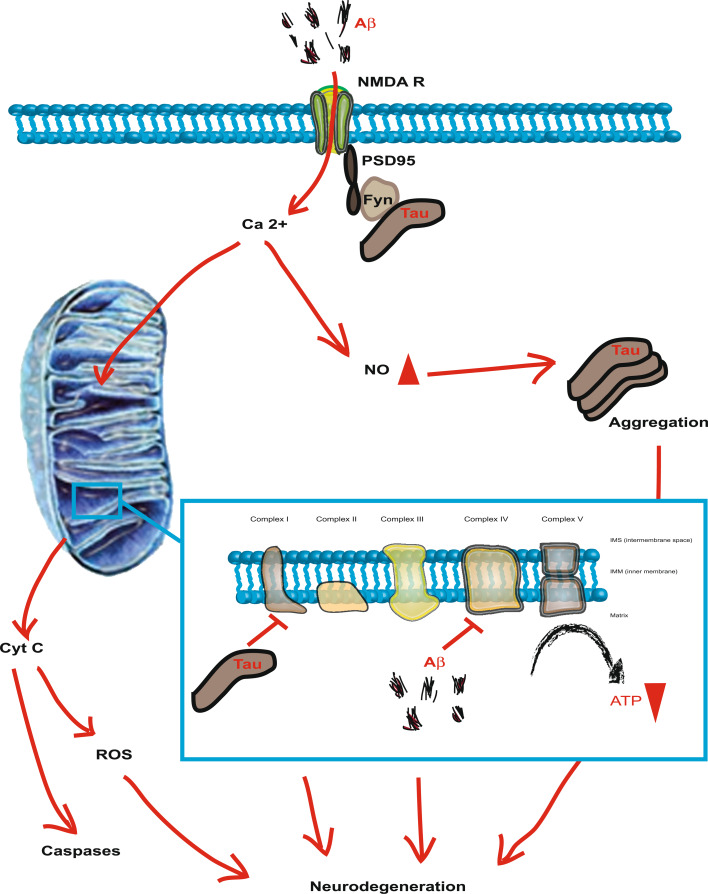 Fig. 2