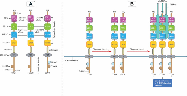 Fig. 3