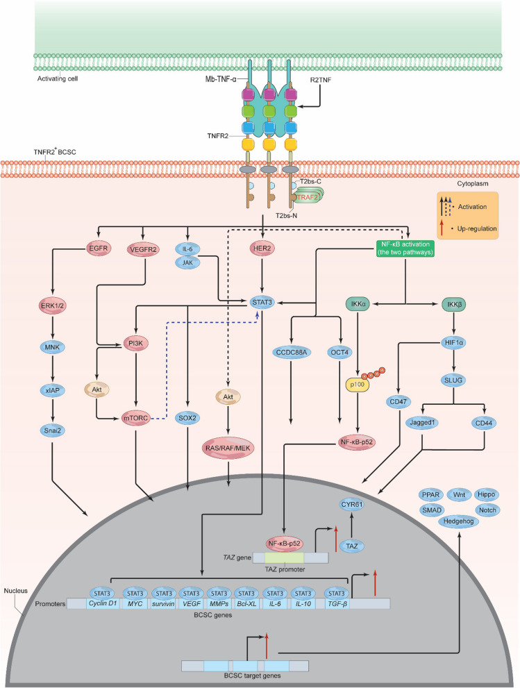 Fig. 7