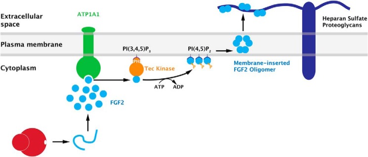 FIGURE 9.