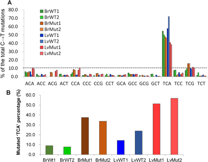 Figure 7