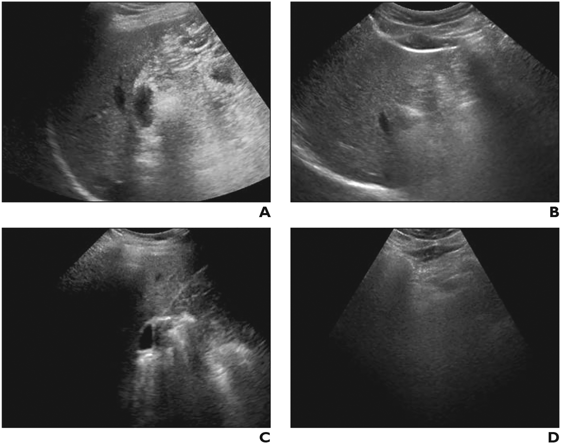 Fig. 3—