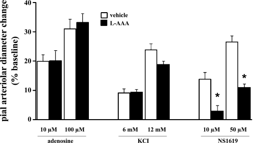 Fig. 10.