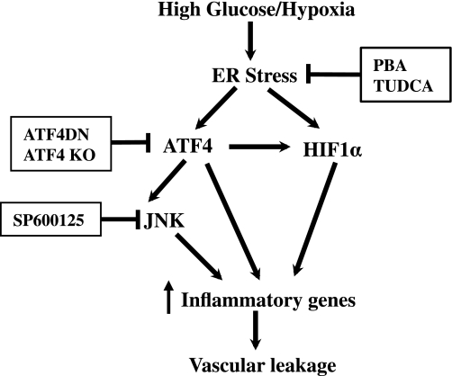 FIG. 8.