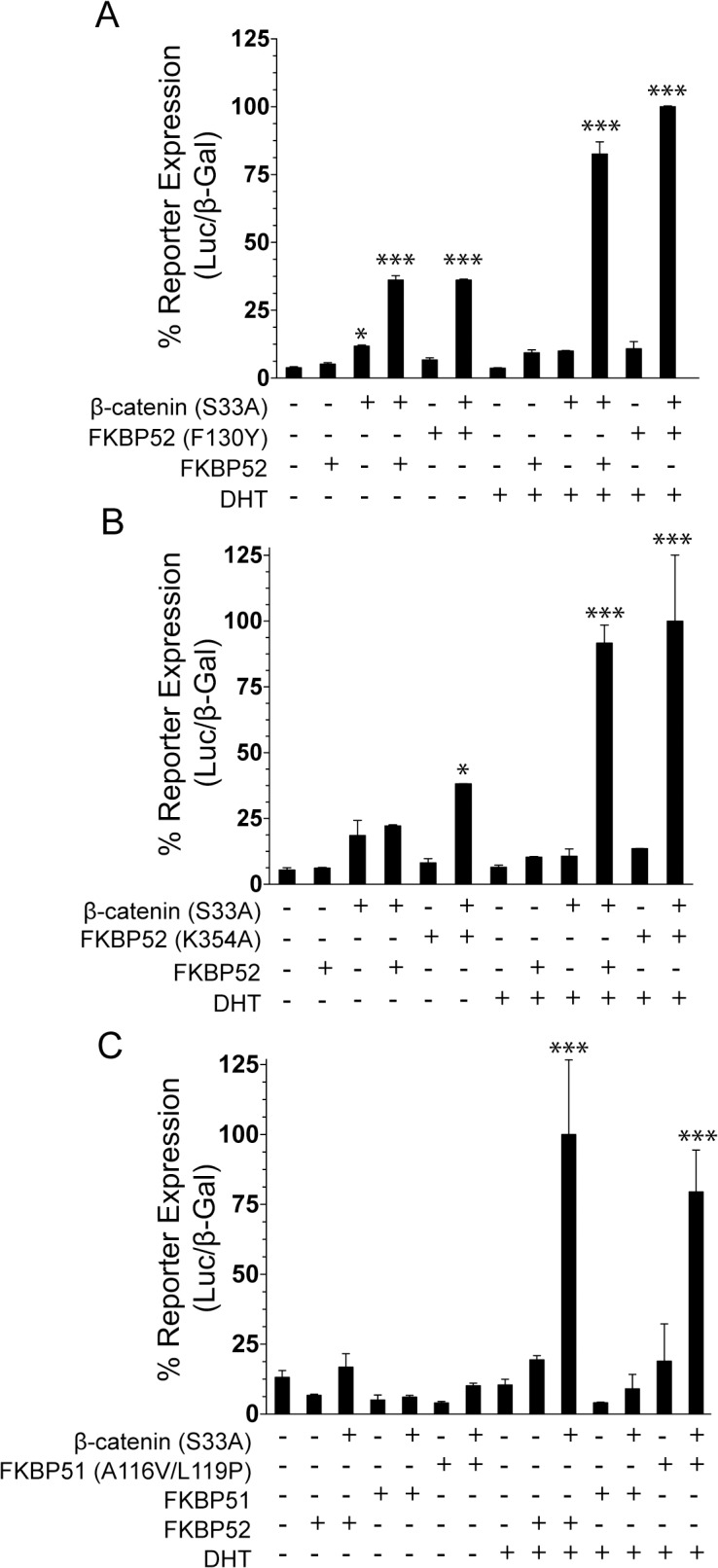 Fig 5