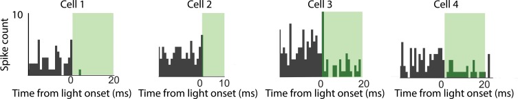 Figure 2—figure supplement 1.