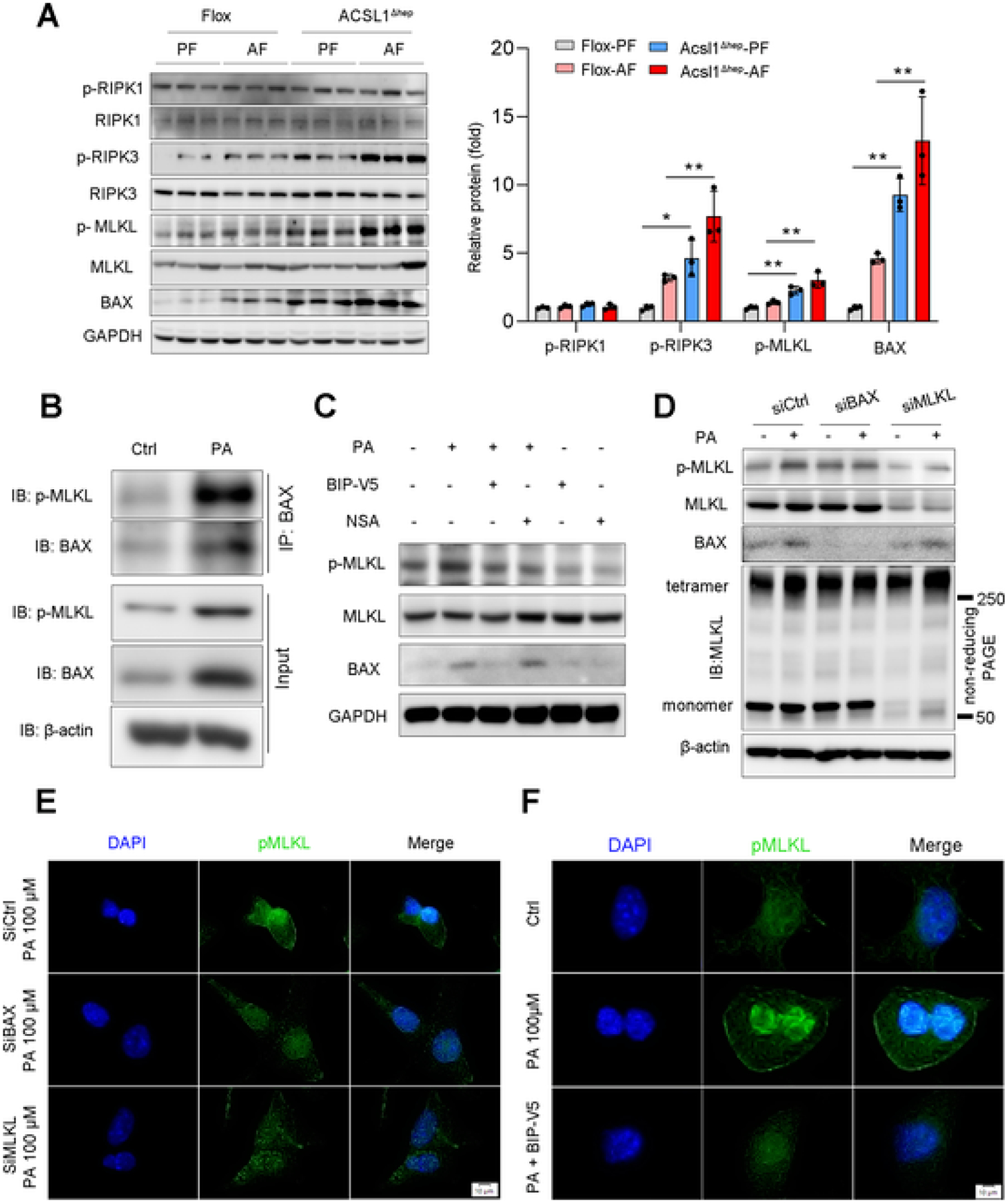 Fig. 4.